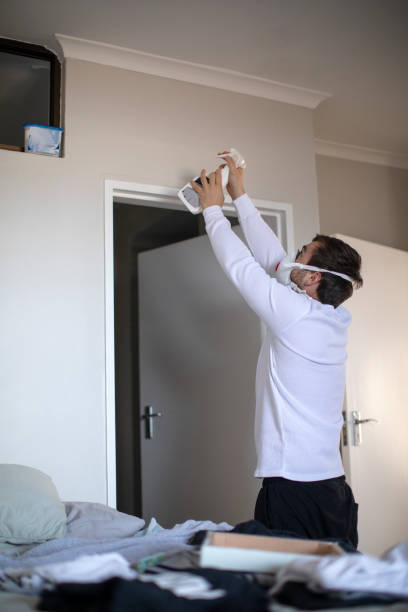 Dehumidification Services in Panaca, NV