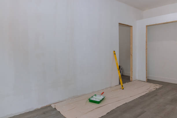 Forensic Mold Investigation in Panaca, NV