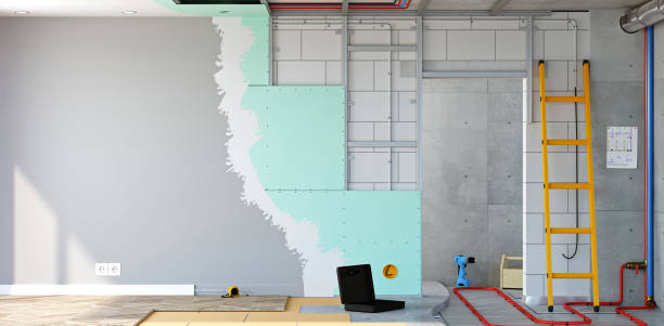 Best Comprehensive Air Testing for Mold Contaminants  in Panaca, NV
