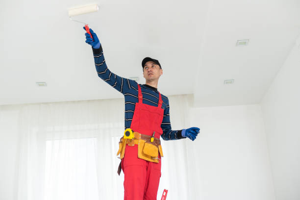 Best Mold Documentation for Insurance Claims  in Panaca, NV