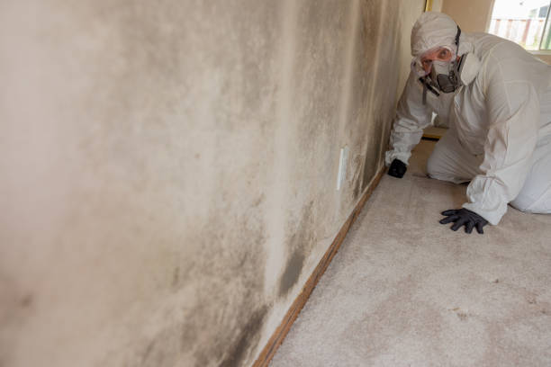 Best Residential Mold Inspection & Testing  in Panaca, NV