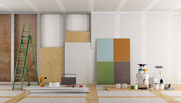 Best Commercial Mold Inspection  in Panaca, NV