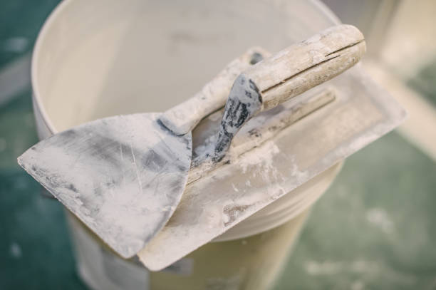 Best HVAC Mold Inspection and Cleaning  in Panaca, NV