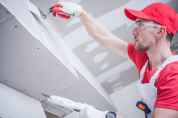 Best Crawl Space Mold Remediation  in Panaca, NV